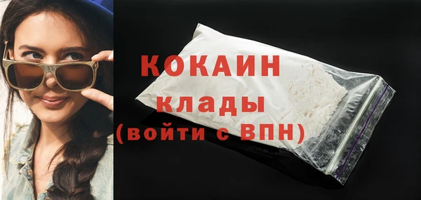 шишки Гусь-Хрустальный