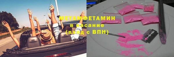 шишки Гусь-Хрустальный