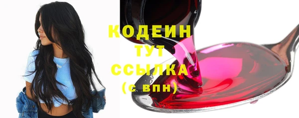 молекула духа Дмитриев