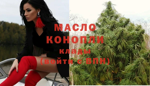 шишки Гусь-Хрустальный