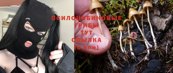 apvp Гусиноозёрск