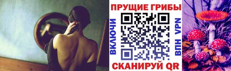 хочу наркоту  Коряжма  Галлюциногенные грибы ЛСД 